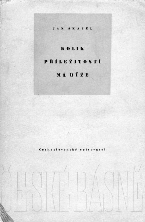 Kolik příležitostí má růže