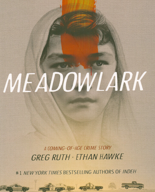Meadowlark : a coming-of-age crime story