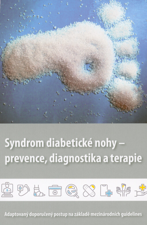 Syndrom diabetické nohy - prevence, diagnostika a terapie : adaptovaný doporučený postup na základě mezinárodních guidelines