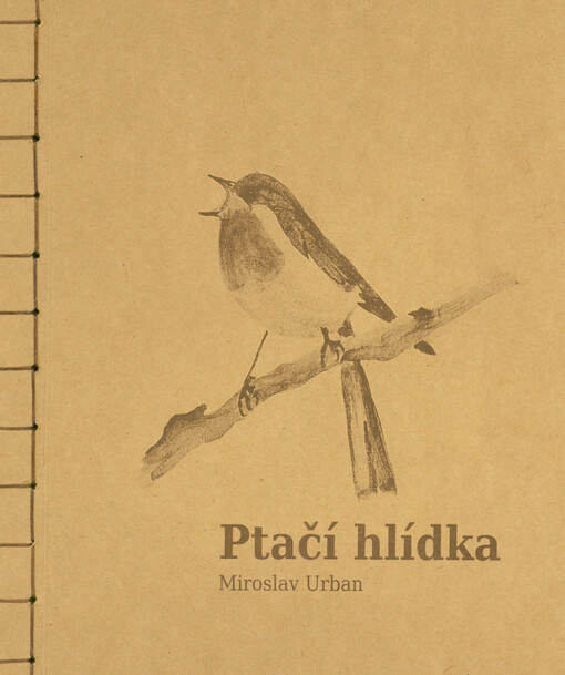 Ptačí hlídka