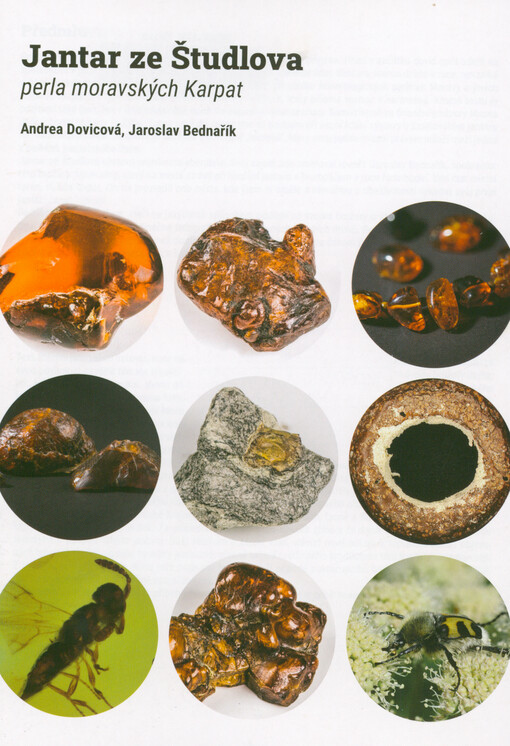 Jantar ze Študlova : perla moravských Karpat