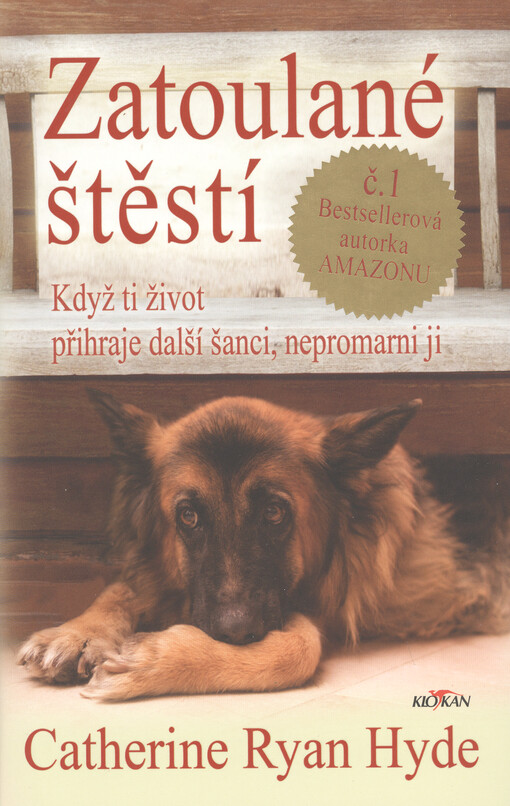 Zatoulané štěstí : když ti život přihraje další šanci, nepromarni ji