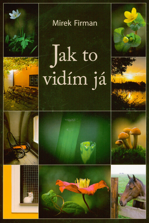 Jak to vidím já
