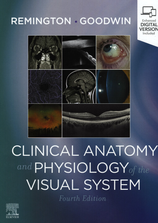Clinical anatomy and physiology of the visual system