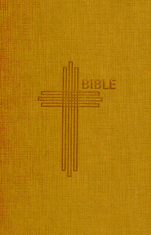 Bible : Písmo svaté Starého a Nového zákona : český ekumenický překlad