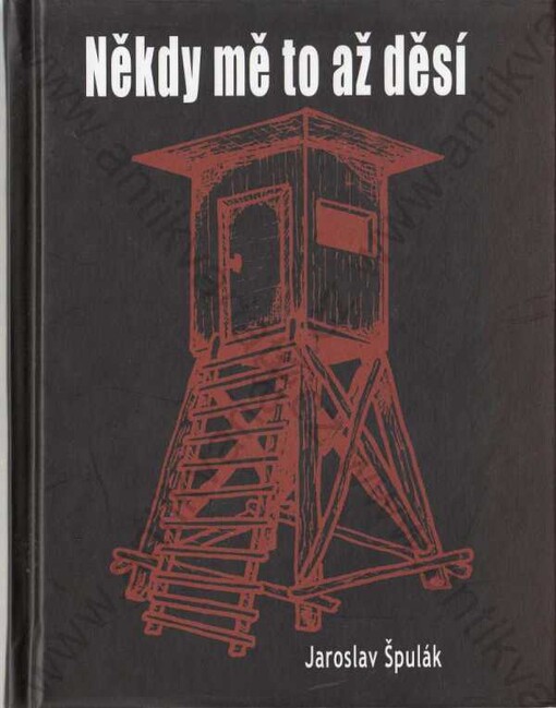 Někdy mě to až děsí