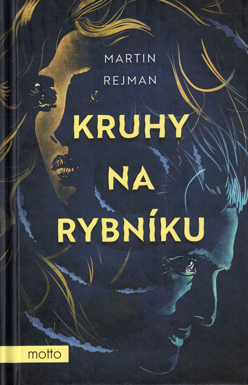 Kruhy na rybníku