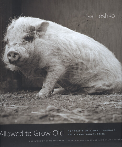 Allowed to grow old : portraits of elderly animals from farm sanctuaries