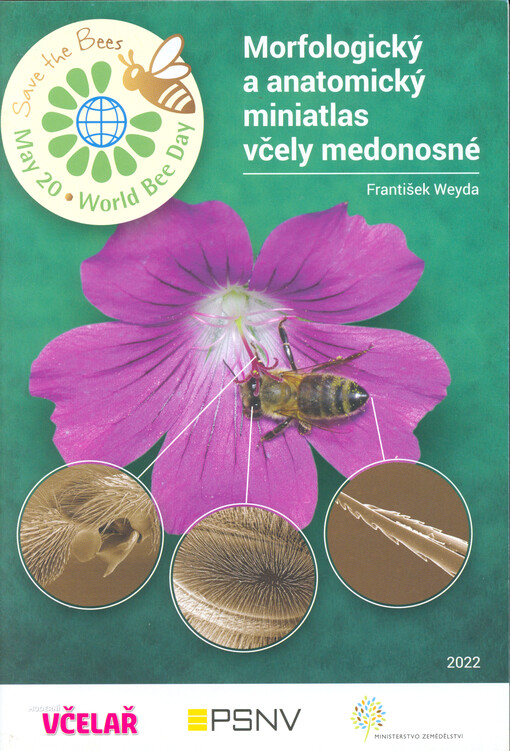 Morfologický a anatomický miniatlas včely medonosné