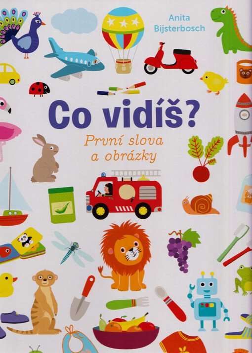 Co vidíš? : první slova a obrázky