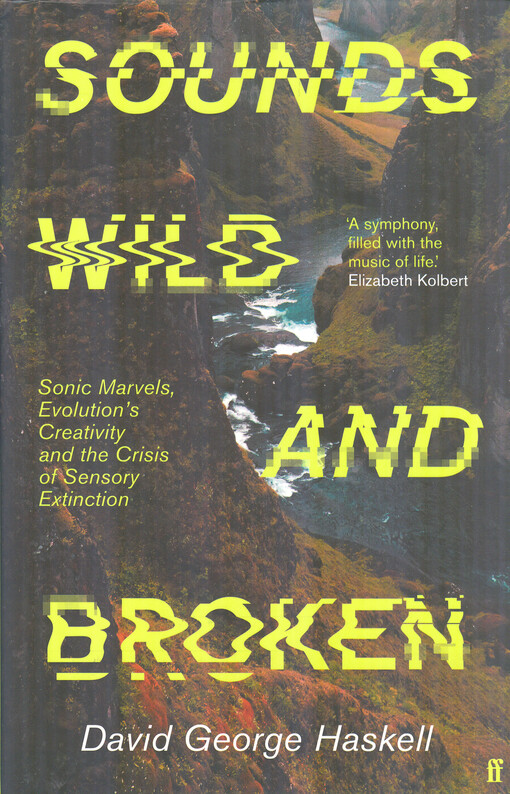 Sounds wild and broken