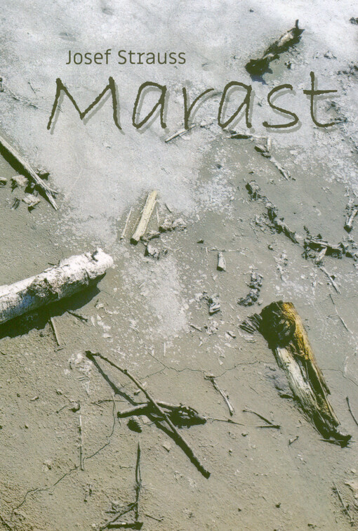 Marast