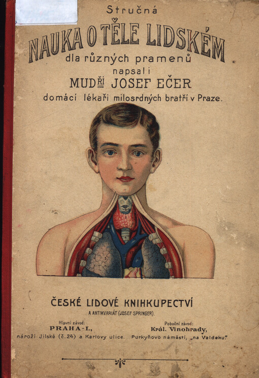Stručná nauka o těle lidském : dle různých pramenů /