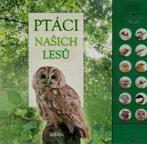 Ptáci našich lesů