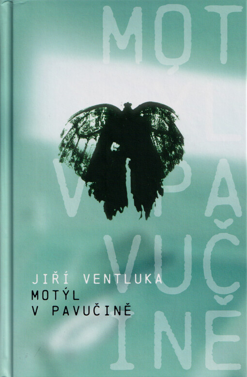 Motýl v pavučině