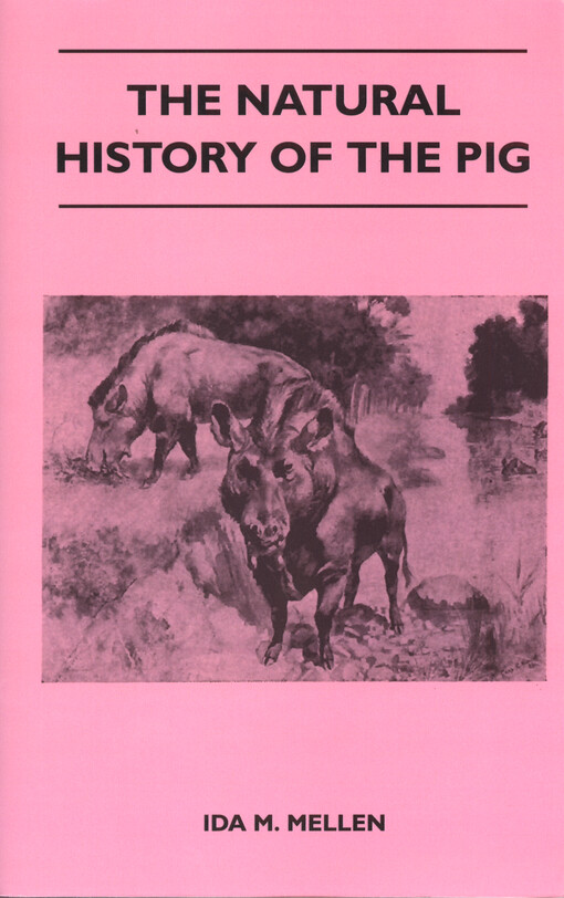 The natural history of the pig : its evolutionary status, antiquity, body, brain, and behavior, and its effect on people