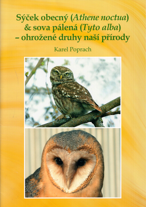 Sýček obecný (Athene noctua) & sova pálená (Tyto alba) - ohrožené druhy naší přírody
