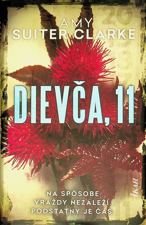Dievča, 11