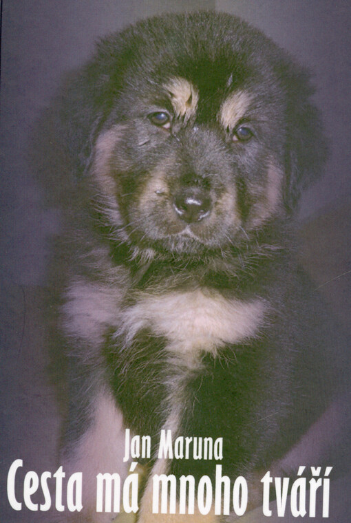 Cesta má mnoho tváří = The way has many faces