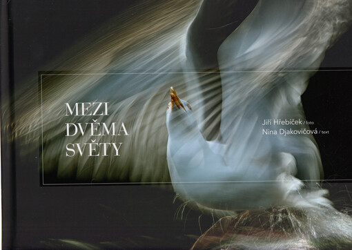 Mezi dvěma světy