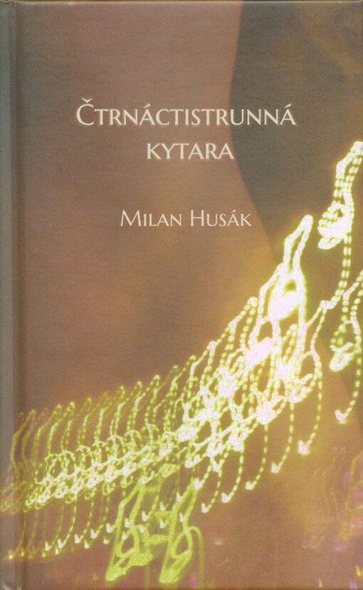 Čtrnáctistrunná kytara