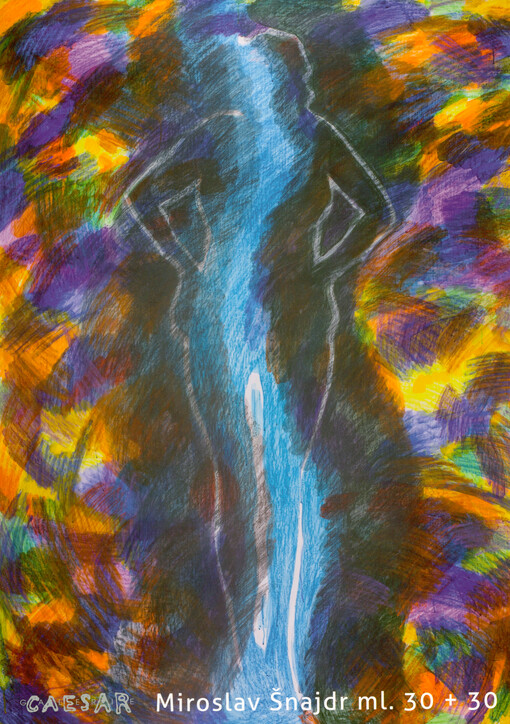 Miroslav Šnajdr ml. : 30+30