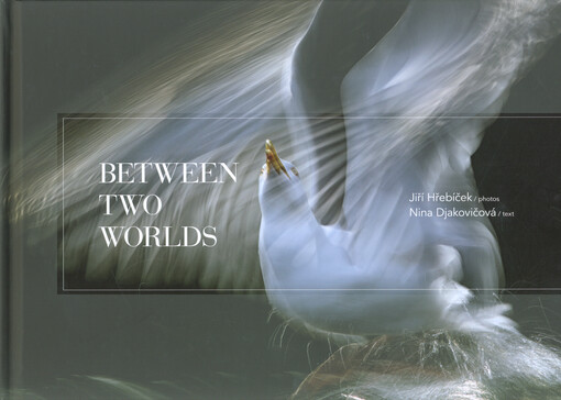 Between two worlds