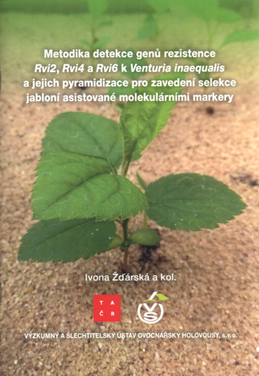 Metodika detekce genů rezistence Rvi2, Rvi4 a Rvi6 k Venturia inaequalis a jejich pyramidizace pro zavedení selekce jabloní asistované molekulárními markery