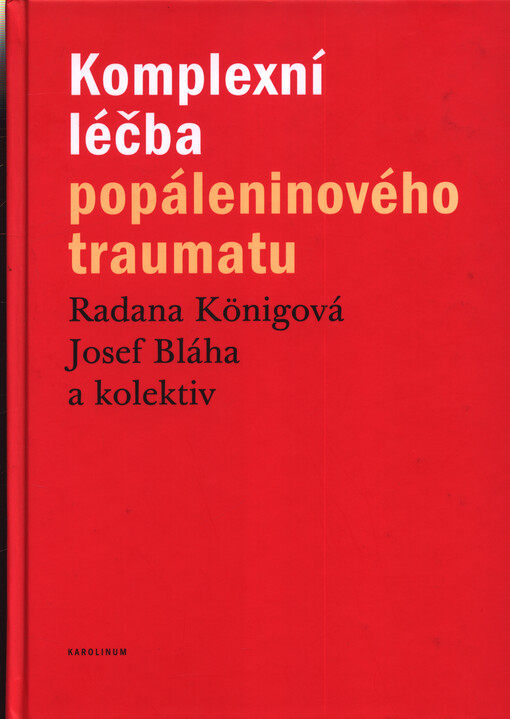 Komplexní léčba popáleninového traumatu