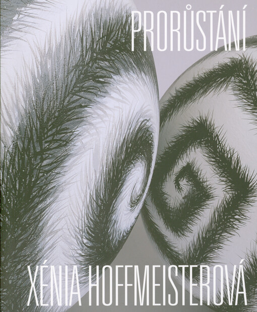 Xénia Hoffmeisterová : prorůstání : Rabasova Galerie Rakovník, Nová síň pod Vysokou bránou, 7. dubna - 22. května 2022