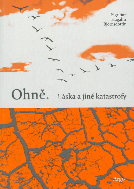 Ohně : láska a jiné katastrofy