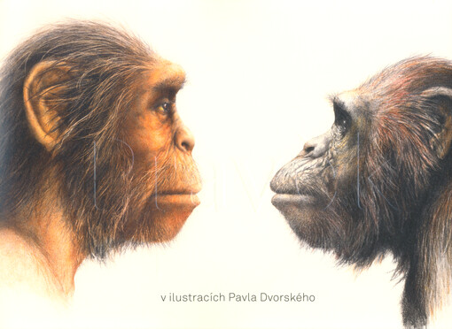 Pravěk v ilustracích Pavla Dvorského