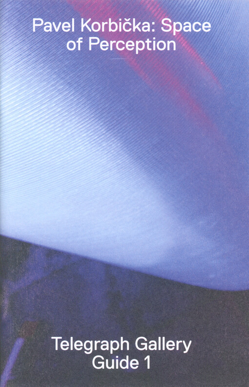 Pavel Korbička : space of perception