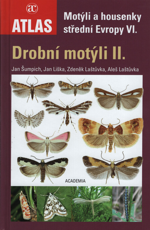 Motýli a housenky střední Evropy. VI., Drobní motýli II.