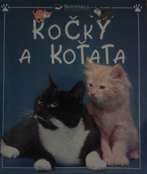 Kočky a koťata