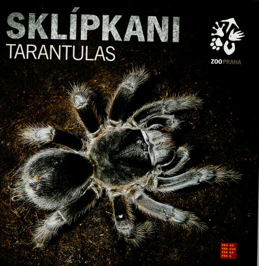 Sklípkani = Tarantulas
