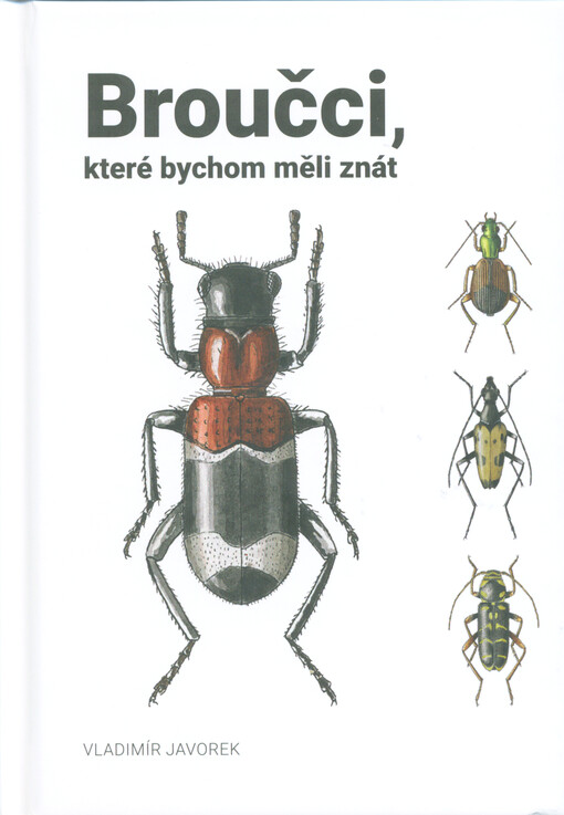 Broučci, které bychom měli znát