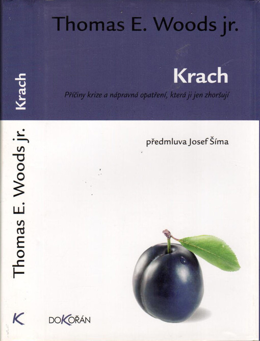 Krach: příčiny krize a nápravná opatření, která ji jen zhoršují