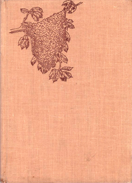 Chov včel pro začátečníky