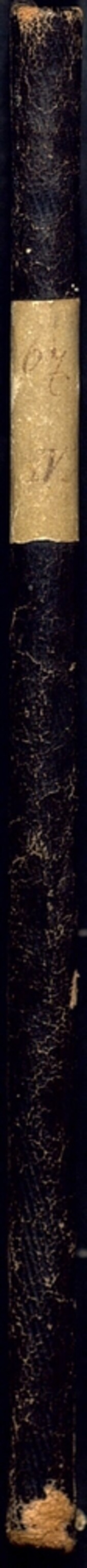 Ovce a plemena jejich