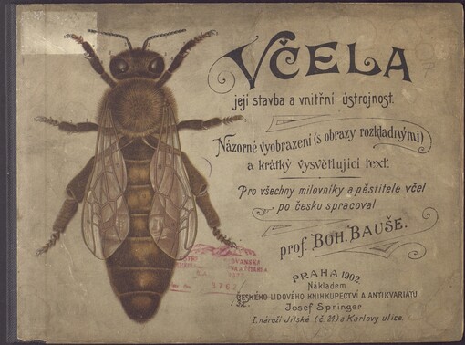 Včela: její stavba a vnitřní ústrojnost : názorné vyobrazení (s obrazy rozkladnými) a krátký vysvětlující text