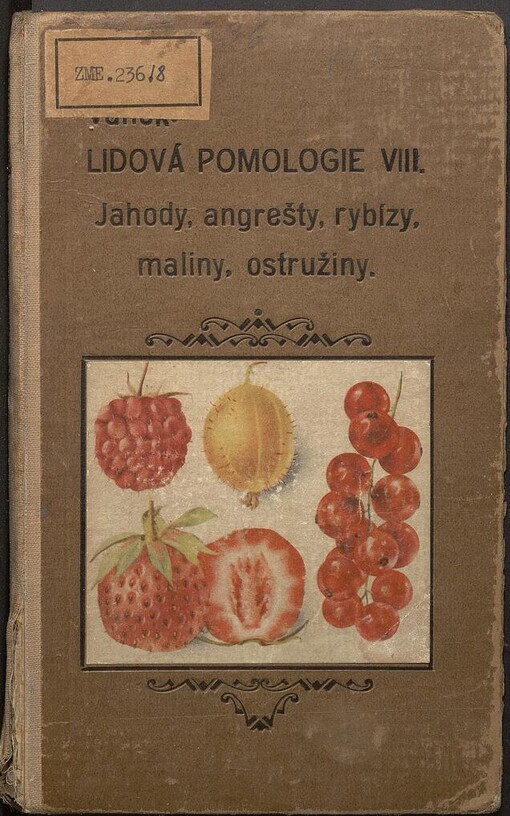 Lidová pomologie.VIII. díl,Drobné ovoce