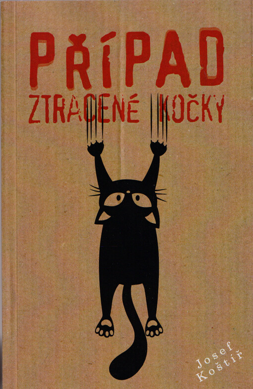 Případ ztracené kočky