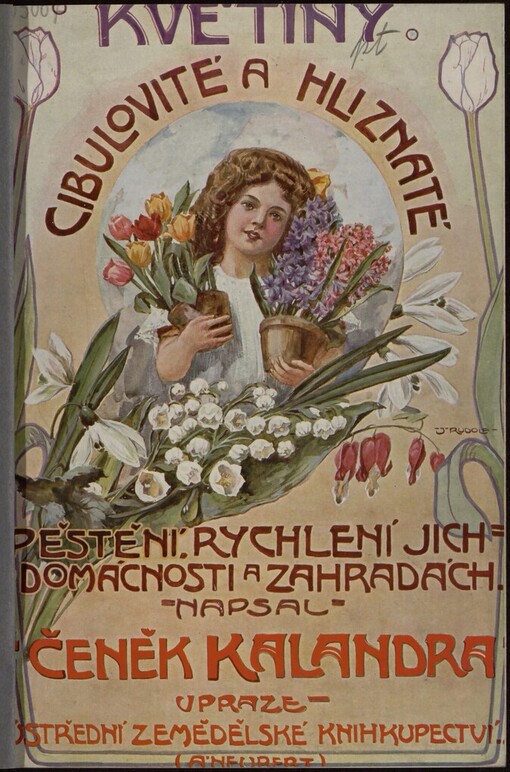 Květiny cibulovité a hlíznaté: praktické návody ku pěstování a rychlení jich v domácnosti, zahradách i ve skleníku