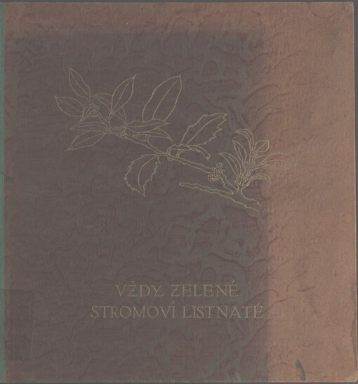 Vždy zelené stromoví listnaté