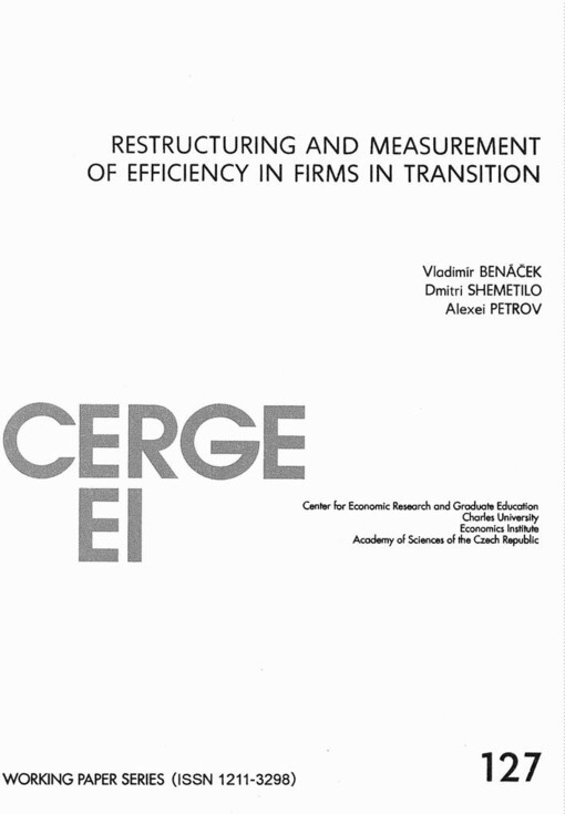 Restructuring and measurement of efficiency in firms in transition
