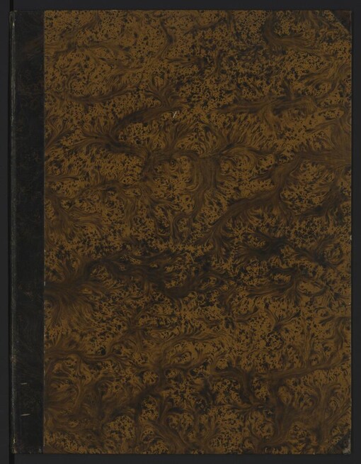 Vorstellungen aus dem Leben des h.Wenzels, welche einer im 14ten Jh.gezeichneten Bilder-Bibel von Welislaw angehängt sind =: Velislavova bible