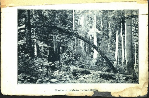 Průvodce Šumavou: Zevrubný popis Šumavy a svahů od Krumlova až do Nýrska : (s 2 mapkami a 12 fotografickými pohledy)