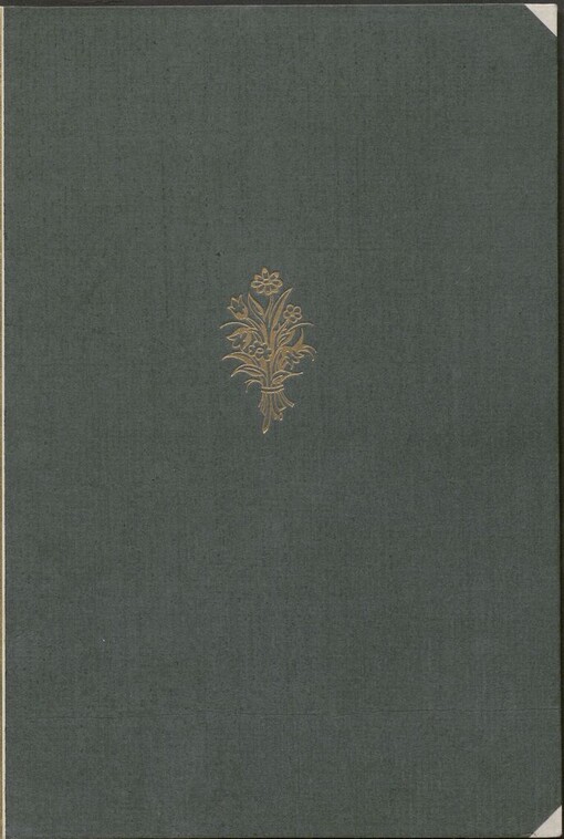 Několik úvah z let 1905-1907