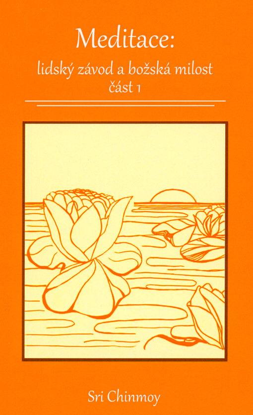 Meditace : lidský závod a božská milost = Meditation : humanity's race and divinity's grace